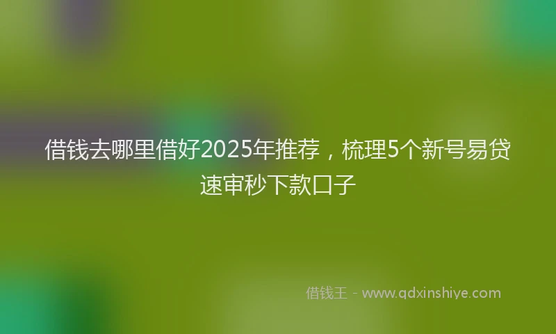 借钱去哪里借好2025年推荐，梳理5个新号易贷速审秒下款口子