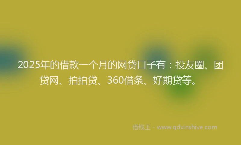 2025年的借款一个月的网贷口子有：投友圈、团贷网、拍拍贷、360借条、好期贷等。