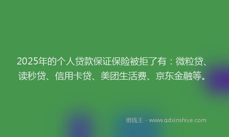 2025年的个人贷款保证保险被拒了有：微粒贷、读秒贷、信用卡贷、美团生活费、京东金融等。