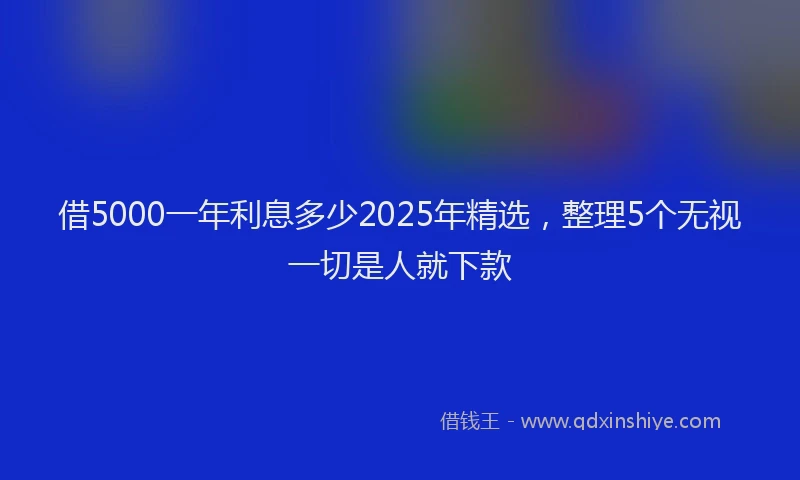 借5000一年利息多少2025年精选，整理5个无视一切是人就下款