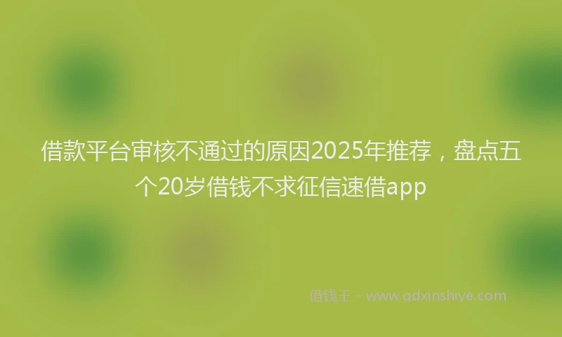 借款平台审核不通过的原因2025年推荐，盘点五个20岁借钱不求征信速借app