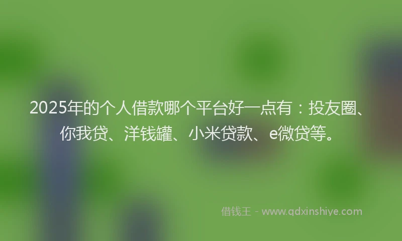 2025年的个人借款哪个平台好一点有：投友圈、你我贷、洋钱罐、小米贷款、e微贷等。