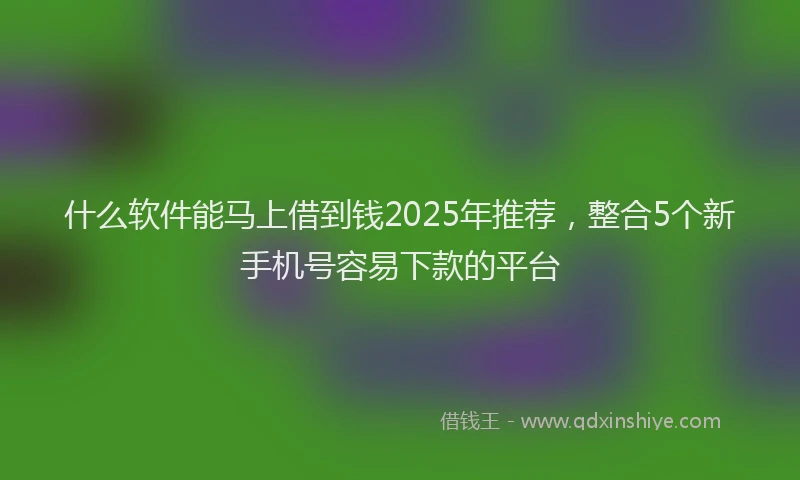 什么软件能马上借到钱2025年推荐，整合5个新手机号容易下款的平台
