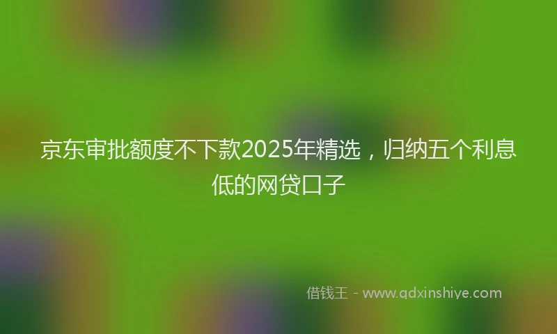 京东审批额度不下款2025年精选，归纳五个利息低的网贷口子
