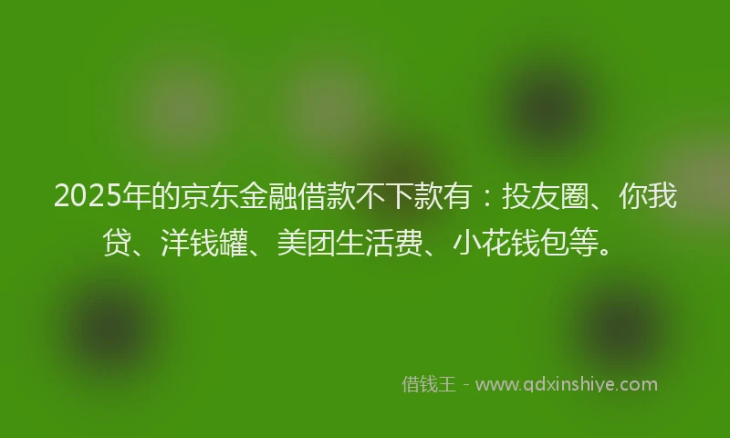 2025年的京东金融借款不下款有：投友圈、你我贷、洋钱罐、美团生活费、小花钱包等。