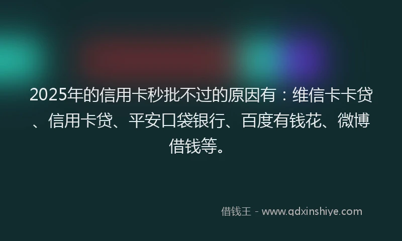 2025年的信用卡秒批不过的原因有：维信卡卡贷、信用卡贷、平安口袋银行、百度有钱花、微博借钱等。
