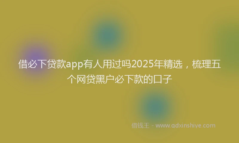 借必下贷款app有人用过吗2025年精选，梳理五个网贷黑户必下款的口子