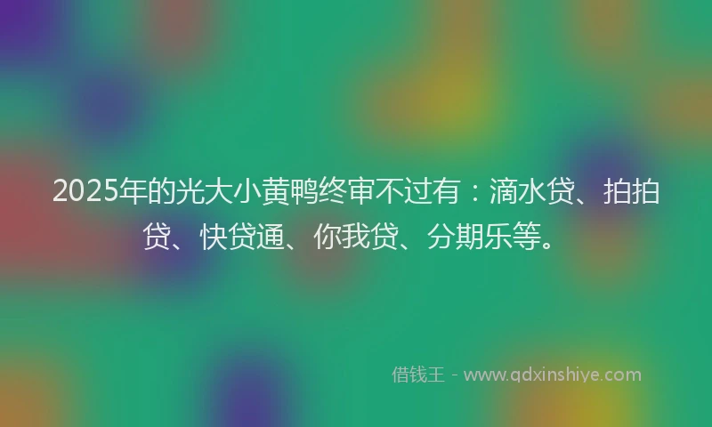 2025年的光大小黄鸭终审不过有：滴水贷、拍拍贷、快贷通、你我贷、分期乐等。