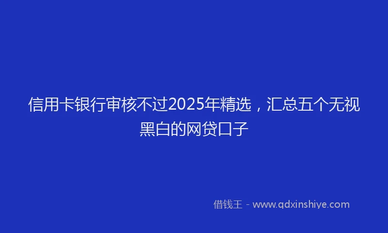 信用卡银行审核不过2025年精选，汇总五个无视黑白的网贷口子