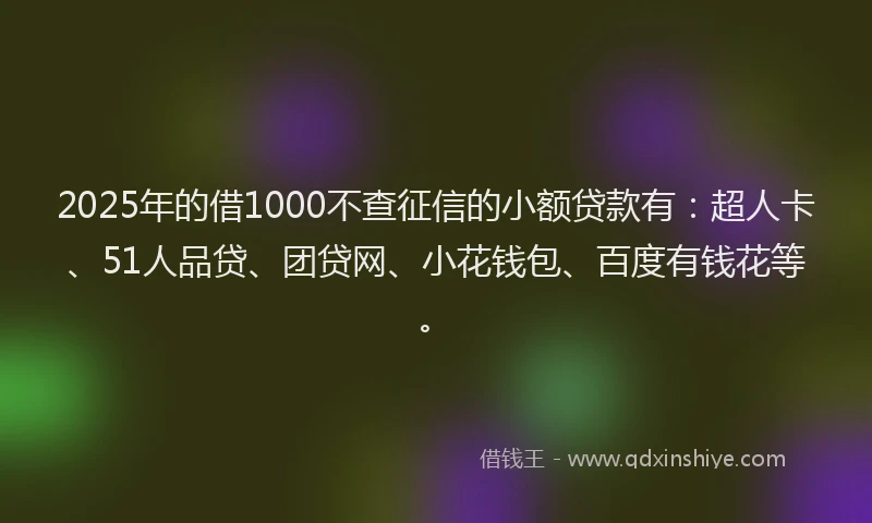 2025年的借1000不查征信的小额贷款有：超人卡、51人品贷、团贷网、小花钱包、百度有钱花等。