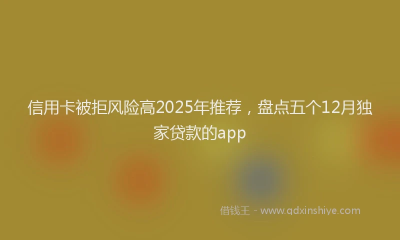 信用卡被拒风险高2025年推荐，盘点五个12月独家贷款的app