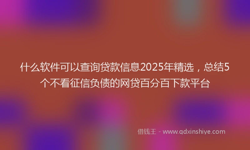 什么软件可以查询贷款信息2025年精选，总结5个不看征信负债的网贷百分百下款平台