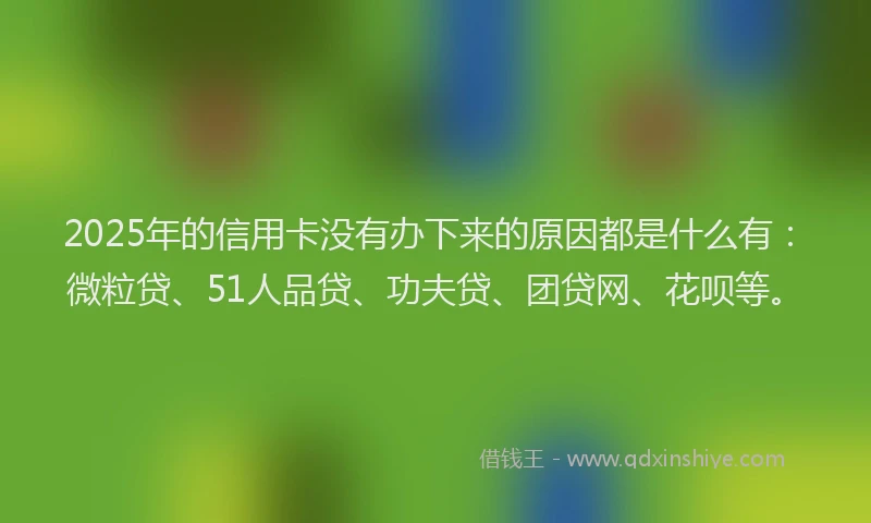 2025年的信用卡没有办下来的原因都是什么有：微粒贷、51人品贷、功夫贷、团贷网、花呗等。