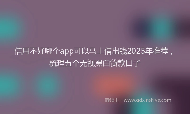 信用不好哪个app可以马上借出钱2025年推荐，梳理五个无视黑白贷款口子