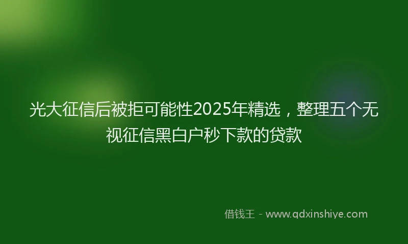光大征信后被拒可能性2025年精选，整理五个无视征信黑白户秒下款的贷款