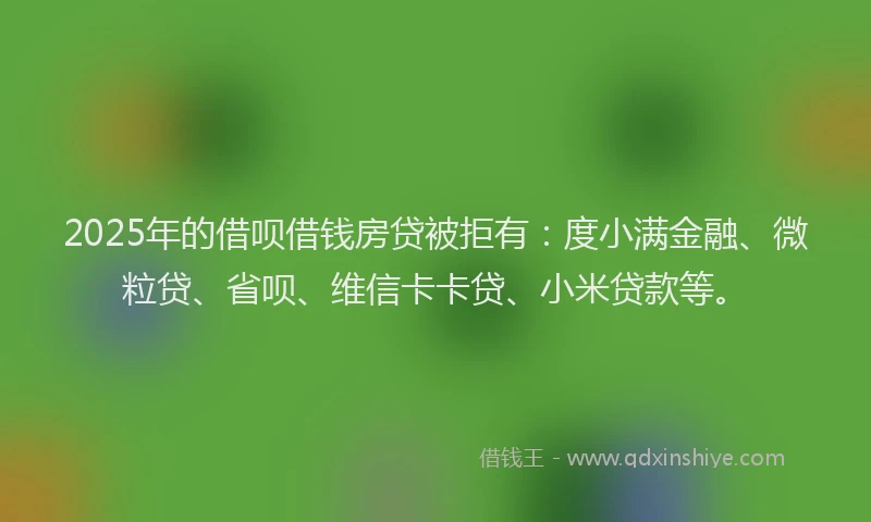 2025年的借呗借钱房贷被拒有：度小满金融、微粒贷、省呗、维信卡卡贷、小米贷款等。