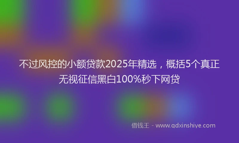 不过风控的小额贷款2025年精选，概括5个真正无视征信黑白100%秒下网贷