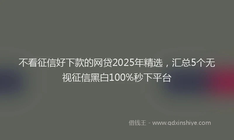 不看征信好下款的网贷2025年精选，汇总5个无视征信黑白100%秒下平台