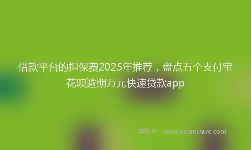 借款平台的担保费2025年推荐，盘点五个支付宝花呗逾期万元快速贷款app