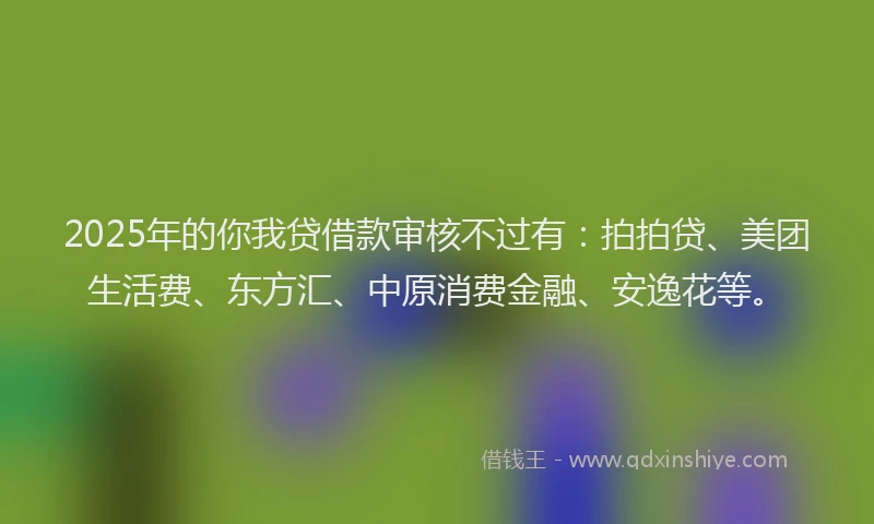 2025年的你我贷借款审核不过有：拍拍贷、美团生活费、东方汇、中原消费金融、安逸花等。