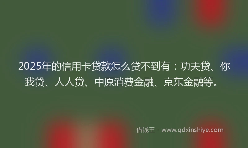 2025年的信用卡贷款怎么贷不到有：功夫贷、你我贷、人人贷、中原消费金融、京东金融等。