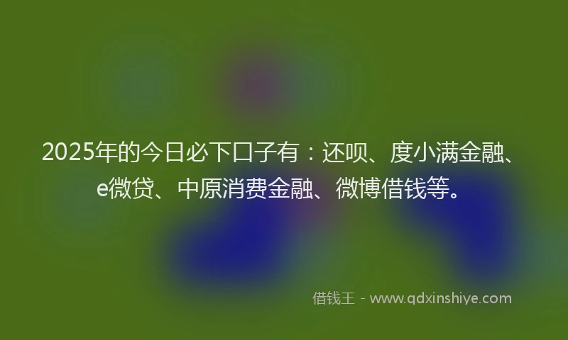 2025年的今日必下口子有：还呗、度小满金融、e微贷、中原消费金融、微博借钱等。