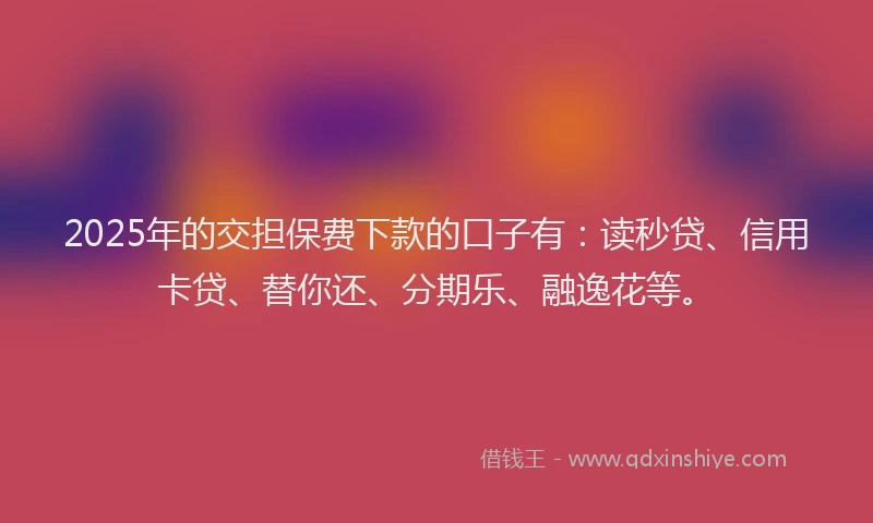 2025年的交担保费下款的口子有：读秒贷、信用卡贷、替你还、分期乐、融逸花等。
