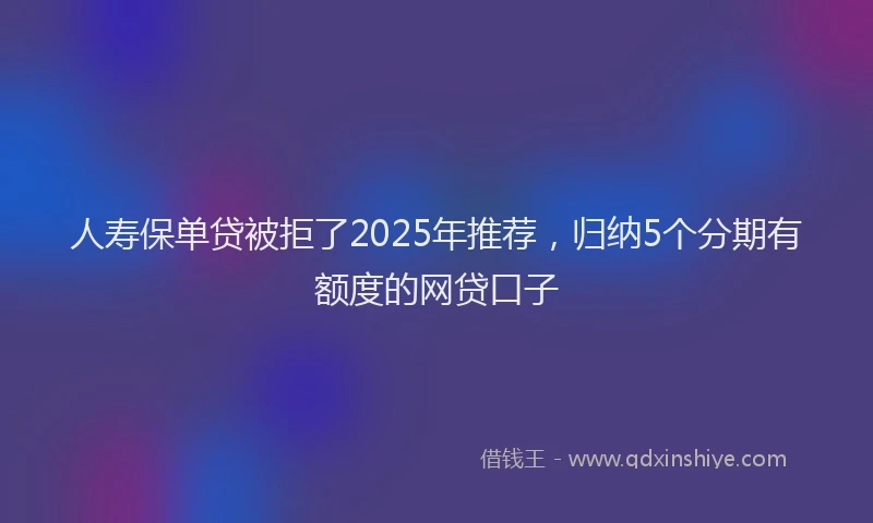 人寿保单贷被拒了2025年推荐，归纳5个分期有额度的网贷口子