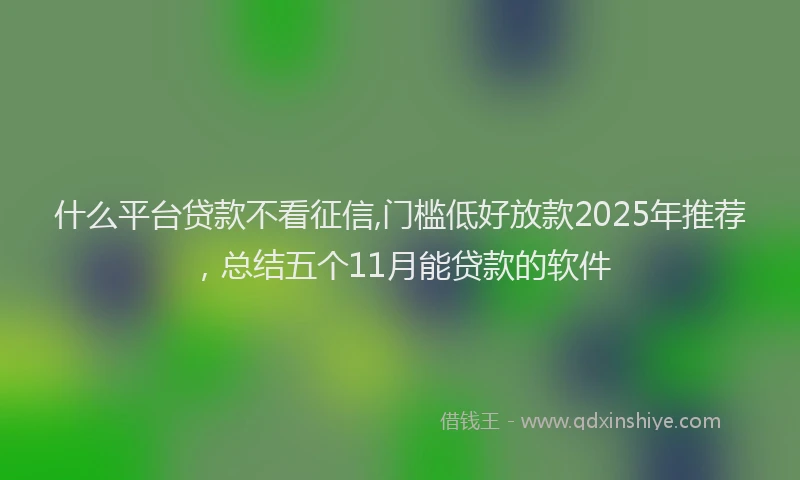 什么平台贷款不看征信,门槛低好放款2025年推荐，总结五个11月能贷款的软件