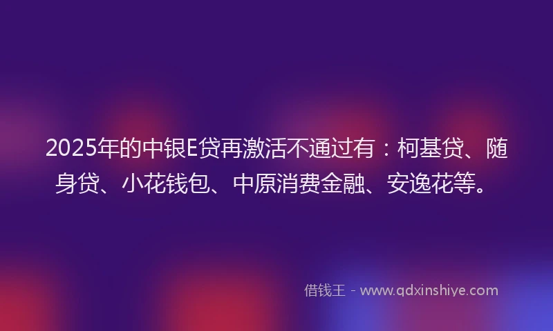 2025年的中银E贷再激活不通过有：柯基贷、随身贷、小花钱包、中原消费金融、安逸花等。