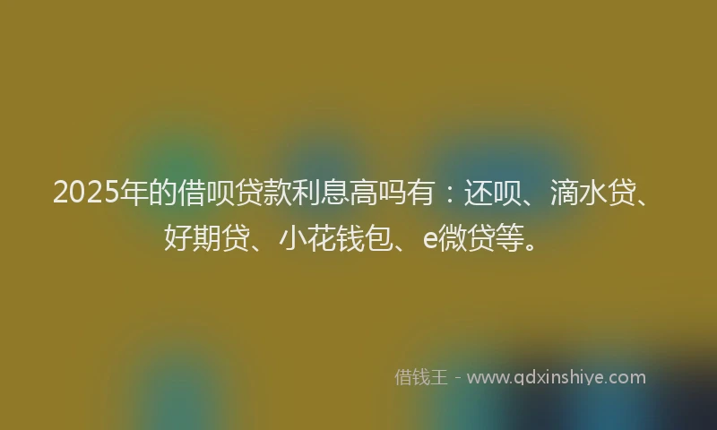 2025年的借呗贷款利息高吗有：还呗、滴水贷、好期贷、小花钱包、e微贷等。