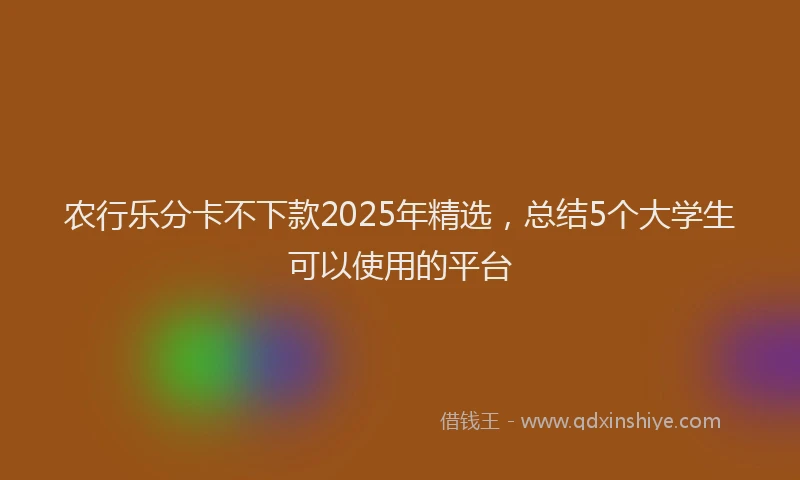 农行乐分卡不下款2025年精选，总结5个大学生可以使用的平台