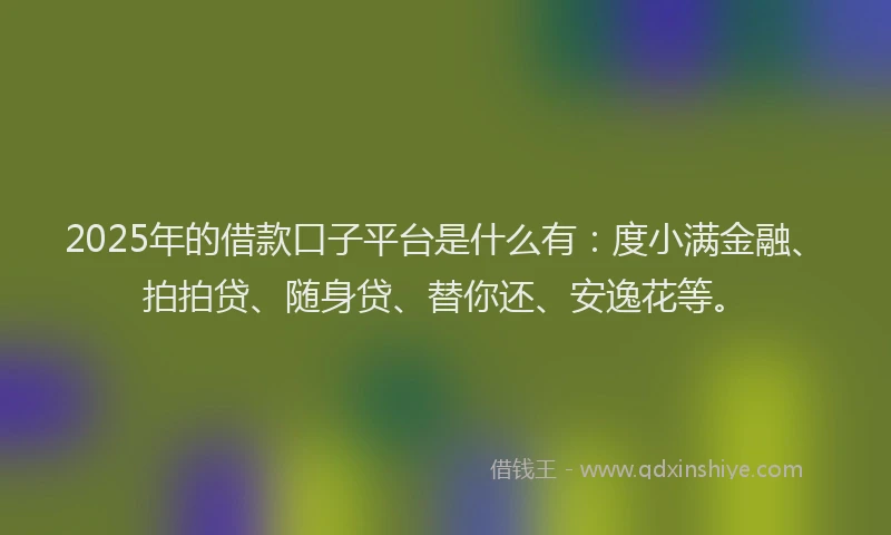 2025年的借款口子平台是什么有：度小满金融、拍拍贷、随身贷、替你还、安逸花等。