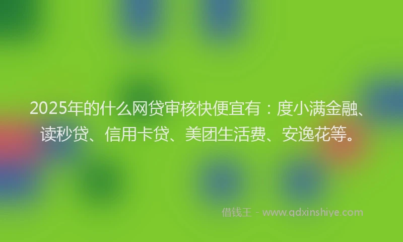 2025年的什么网贷审核快便宜有：度小满金融、读秒贷、信用卡贷、美团生活费、安逸花等。