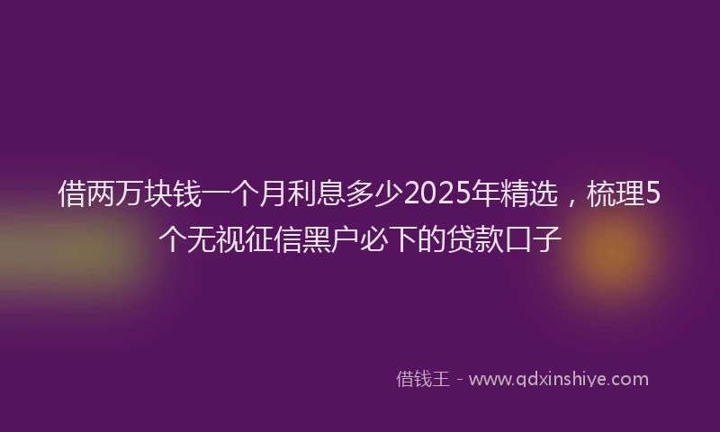 借两万块钱一个月利息多少2025年精选，梳理5个无视征信黑户必下的贷款口子