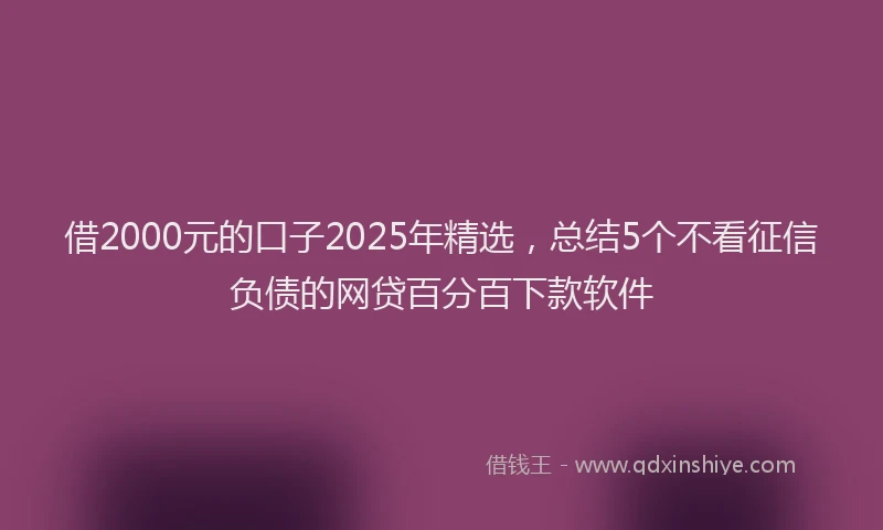 借2000元的口子2025年精选，总结5个不看征信负债的网贷百分百下款软件