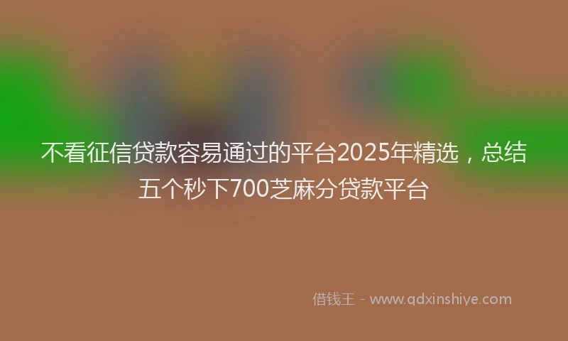 不看征信贷款容易通过的平台2025年精选，总结五个秒下700芝麻分贷款平台
