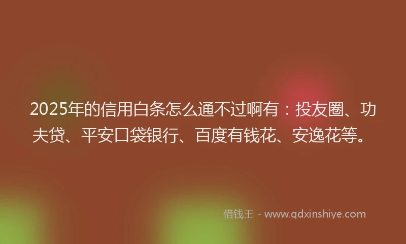 2025年的信用白条怎么通不过啊有：投友圈、功夫贷、平安口袋银行、百度有钱花、安逸花等。