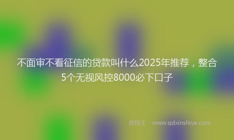 不面审不看征信的贷款叫什么2025年推荐，整合5个无视风控8000必下口子