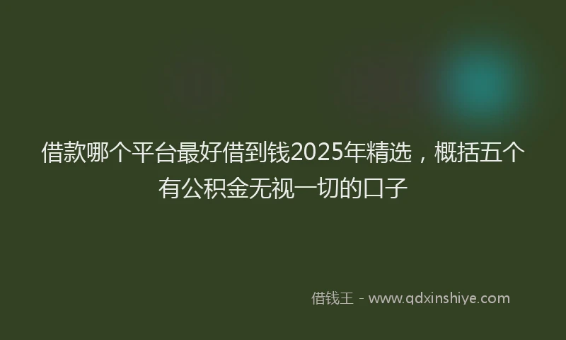 借款哪个平台最好借到钱2025年精选，概括五个有公积金无视一切的口子