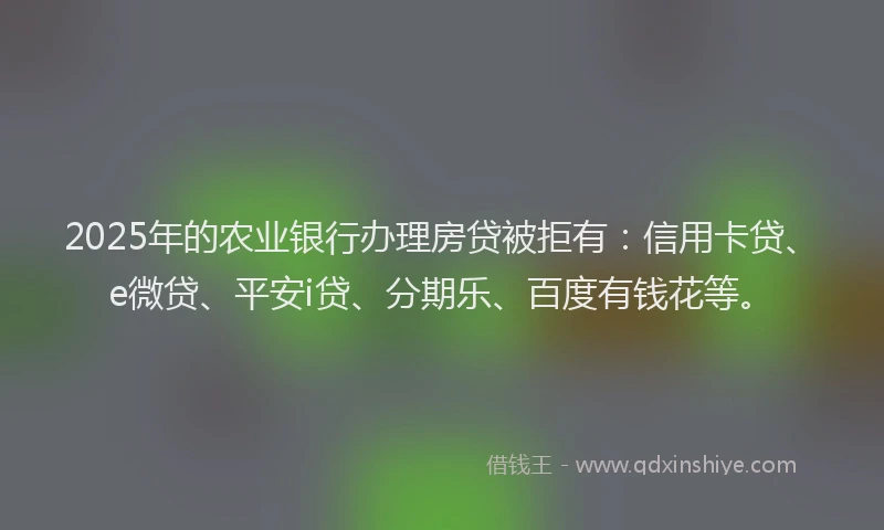 2025年的农业银行办理房贷被拒有：信用卡贷、e微贷、平安i贷、分期乐、百度有钱花等。