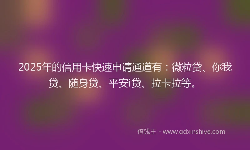2025年的信用卡快速申请通道有：微粒贷、你我贷、随身贷、平安i贷、拉卡拉等。