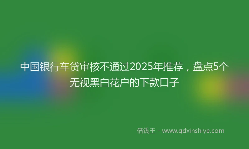 中国银行车贷审核不通过2025年推荐，盘点5个无视黑白花户的下款口子