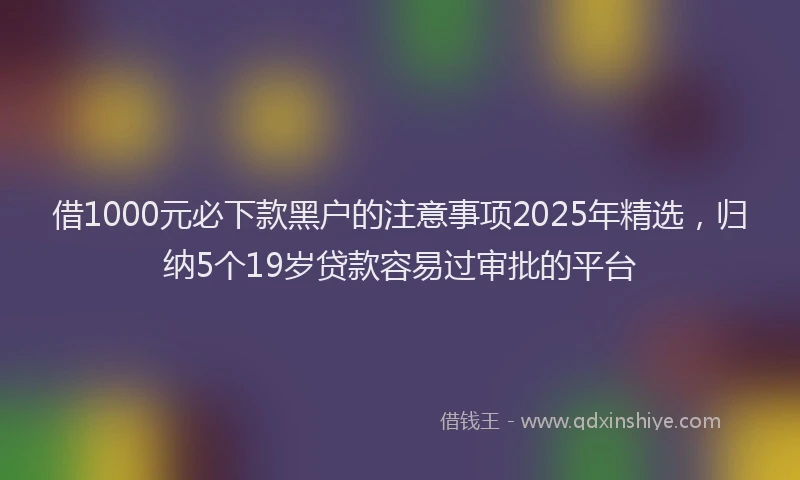 借1000元必下款黑户的注意事项2025年精选，归纳5个19岁贷款容易过审批的平台