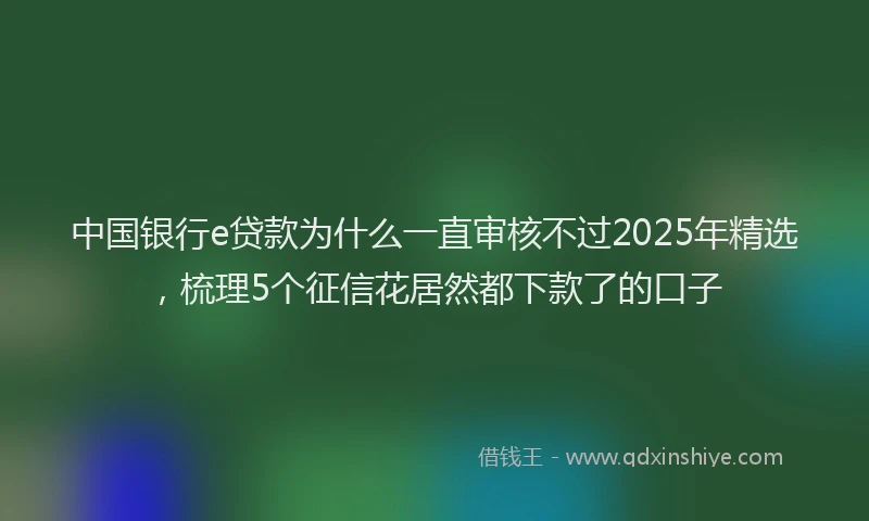 中国银行e贷款为什么一直审核不过2025年精选，梳理5个征信花居然都下款了的口子