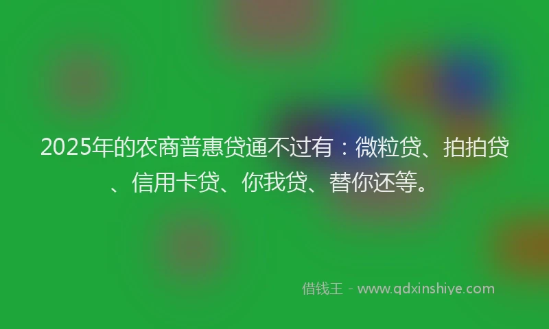 2025年的农商普惠贷通不过有：微粒贷、拍拍贷、信用卡贷、你我贷、替你还等。