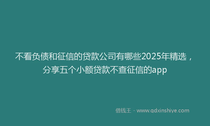 不看负债和征信的贷款公司有哪些2025年精选，分享五个小额贷款不查征信的app