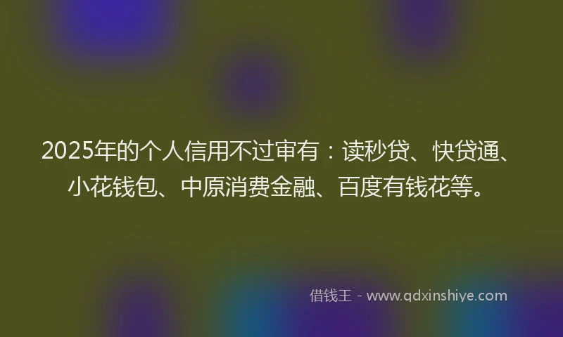2025年的个人信用不过审有：读秒贷、快贷通、小花钱包、中原消费金融、百度有钱花等。