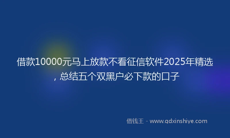 借款10000元马上放款不看征信软件2025年精选，总结五个双黑户必下款的口子