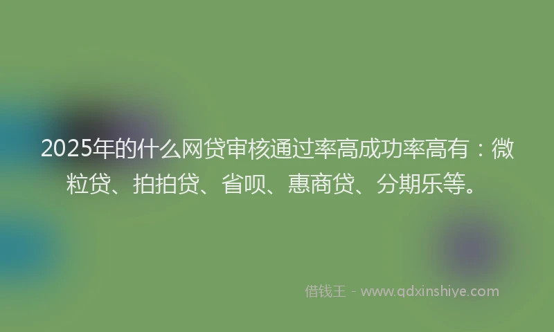 2025年的什么网贷审核通过率高成功率高有：微粒贷、拍拍贷、省呗、惠商贷、分期乐等。